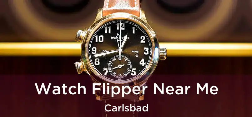 Watch Flipper Near Me Carlsbad